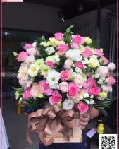 Hồng Sen, Cẩm Chướng, Cát Tường - belovedbeyond.com