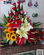 Congratulation Đk02 - belovedbeyond.com