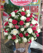 Chiến Thắng - belovedbeyond.com