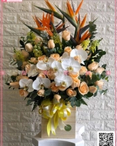 Sớm Mai - belovedbeyond.com