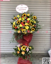 Grand Opening - belovedbeyond.com