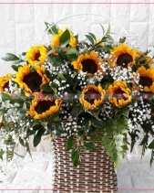 Nồng Nàn - belovedbeyond.com