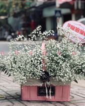 Nồng Thắm - belovedbeyond.com