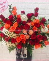 Thu Về - belovedbeyond.com