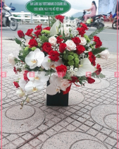 Tình Đầu - belovedbeyond.com
