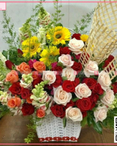 Mùa Yêu - belovedbeyond.com