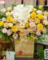 Chung Thuỷ - belovedbeyond.com