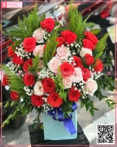 Bền Lâu - belovedbeyond.com