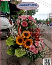 Nắng Hạ - belovedbeyond.com