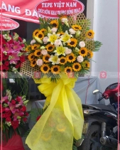 Khởi Sắc - belovedbeyond.com