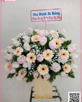 Chung Thuỷ - belovedbeyond.com