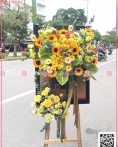Bền Vững - belovedbeyond.com