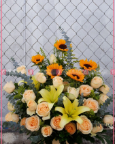 Biết Ơn - belovedbeyond.com