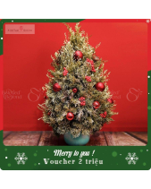D45235 - belovedbeyond.com