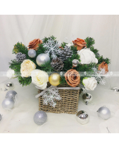 D56219 - belovedbeyond.com