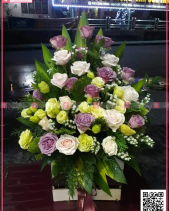 Tình Đầu - belovedbeyond.com