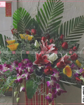 Niềm Tin - belovedbeyond.com