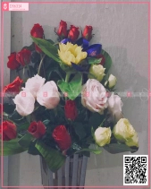 Khởi Sắc - belovedbeyond.com