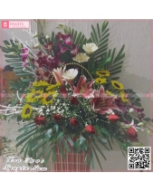 Khát Khao - belovedbeyond.com