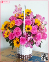 Yêu Thương - belovedbeyond.com