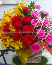 Tinh Khiết - belovedbeyond.com