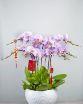 Phát Tài Phát Lộc - belovedbeyond.com