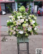 Nồng Nàn - belovedbeyond.com