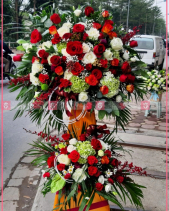 Rực Rỡ - belovedbeyond.com