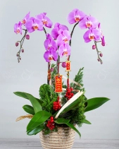 Tết Sum Vầy - belovedbeyond.com