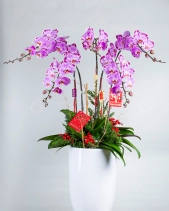 Thọ Tỉ Nam Sơn - belovedbeyond.com