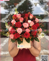 Đỏ Đằm Thắm - belovedbeyond.com