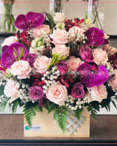 Tím Lãng Mạn - belovedbeyond.com