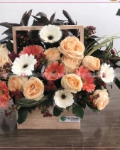 Rực Rỡ - belovedbeyond.com