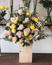 D64016 - belovedbeyond.com