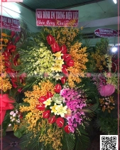 Sức Sống - belovedbeyond.com