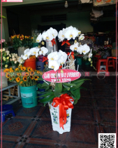 Đoàn Tụ - belovedbeyond.com