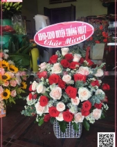 Lãng Mạng - belovedbeyond.com