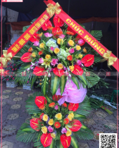 Thành Công - belovedbeyond.com