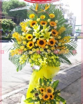 Khởi Sắc - belovedbeyond.com