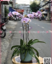 Vĩnh Cửu - belovedbeyond.com