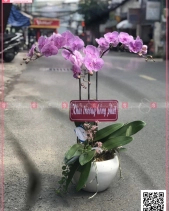 Tài Lộc - belovedbeyond.com