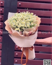 Mùa Yêu - belovedbeyond.com