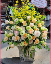 D112070 - belovedbeyond.com