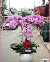 Phát Lộc - belovedbeyond.com