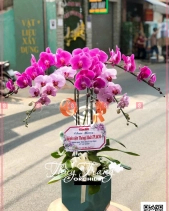 An Khang - belovedbeyond.com