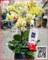 Thịnh Vượng - belovedbeyond.com