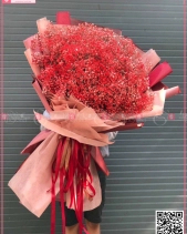 D124584 - belovedbeyond.com