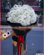 D124586 - belovedbeyond.com