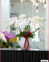 Phát Lộc - belovedbeyond.com