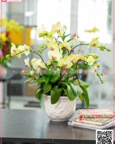 Vĩnh Cửu - belovedbeyond.com